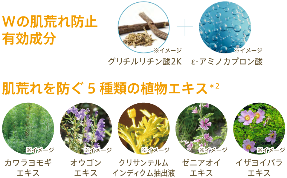 Wの肌荒れ防止有効成分／肌荒れを防ぐ5種類の植物エキス